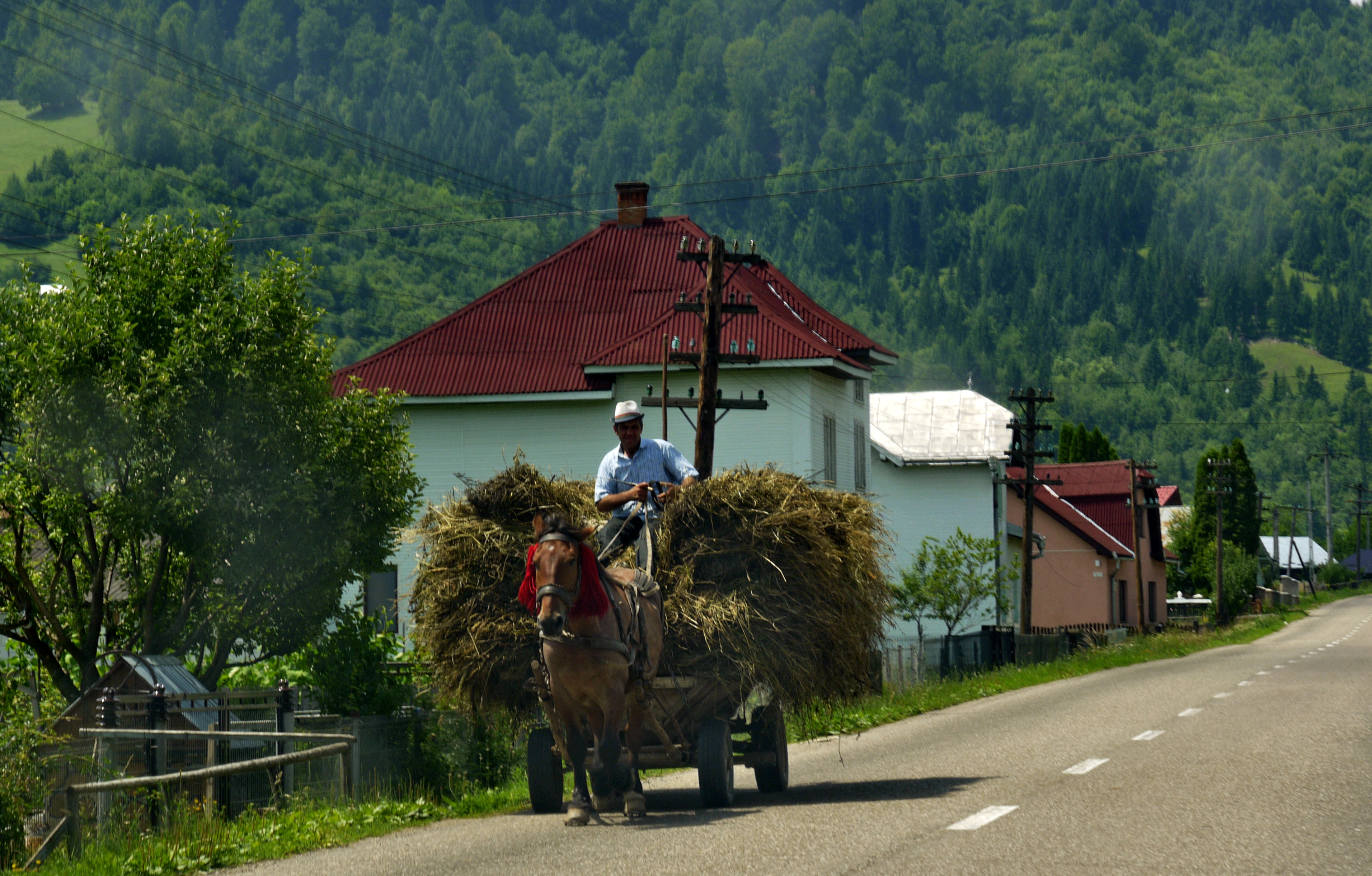 Charette de foin Roumanie – Les voyages de Mic
